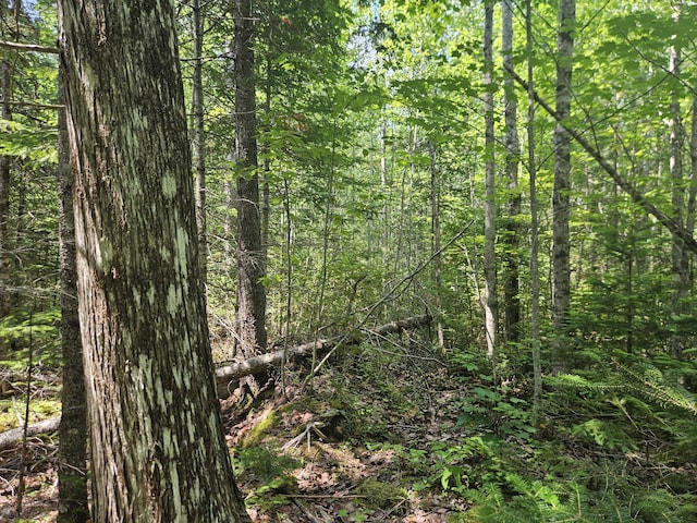 PE03926 Myra Rd, Greenfield Twp, ME 04418
