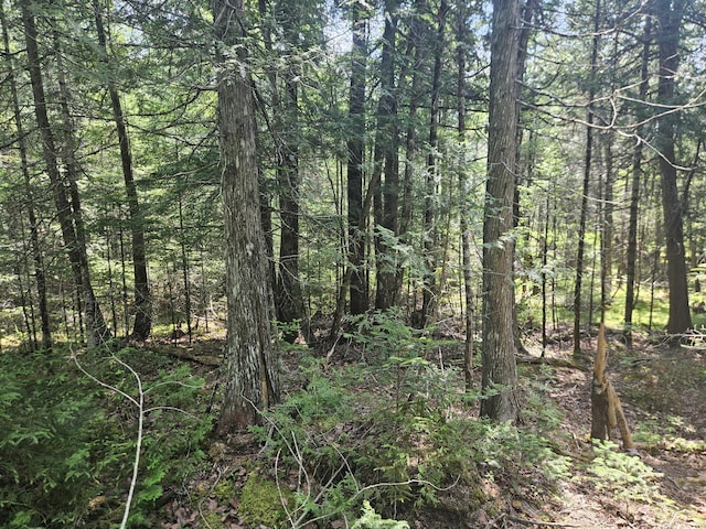 PE03926 Myra Rd, Greenfield Twp, ME 04418