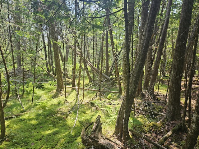 PE03926 Myra Rd, Greenfield Twp, ME 04418
