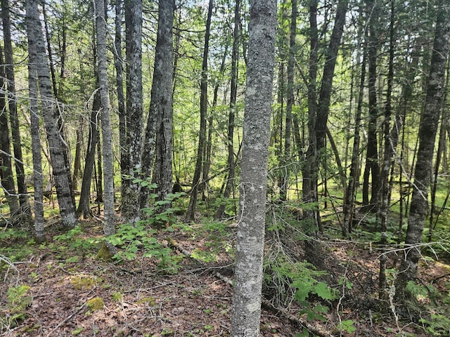 PE03926 Myra Rd, Greenfield Twp, ME 04418