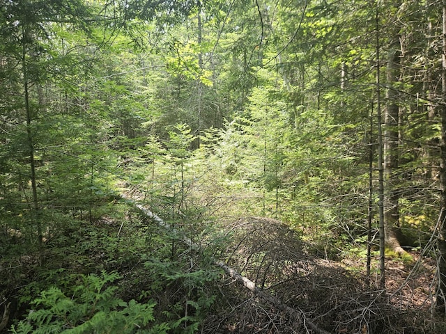 PE03926 Myra Rd, Greenfield Twp, ME 04418
