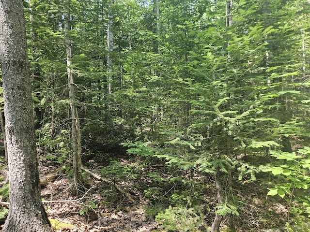 PE03926 Myra Rd, Greenfield Twp, ME 04418