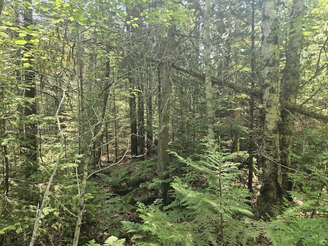 PE03926 Myra Rd, Greenfield Twp, ME 04418