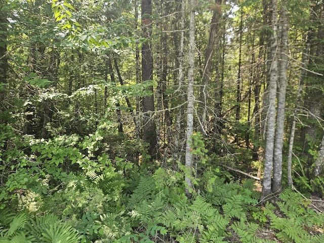 PE03926 Myra Rd, Greenfield Twp, ME 04418