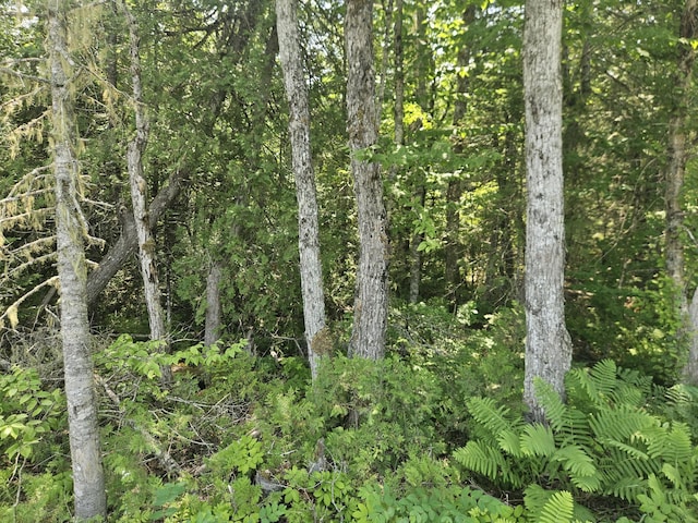 PE03926 Myra Rd, Greenfield Twp, ME 04418
