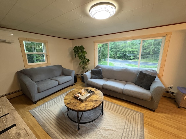 429 Rte 3, Palermo, ME 04354 - living room with a wall unit AC, light wood-style flooring, a baseboard radiator, crown molding, and a baseboard heating unit