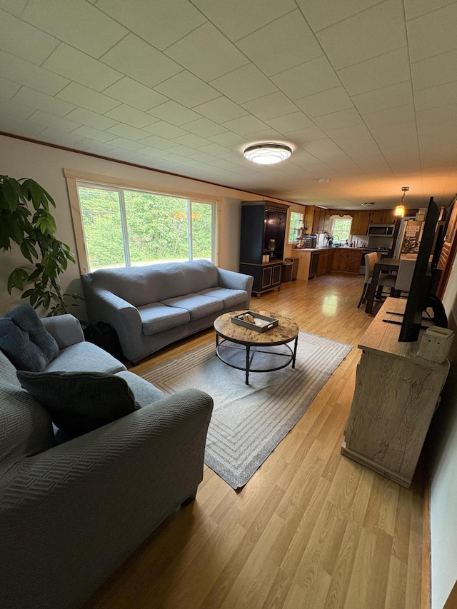 429 Rte 3, Palermo, ME 04354 - living room featuring healthy amount of natural light and light wood-style flooring