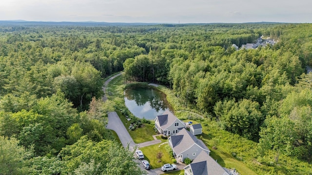 16 Frontier Way Unit 161, Arundel, ME 04046 - photo 41