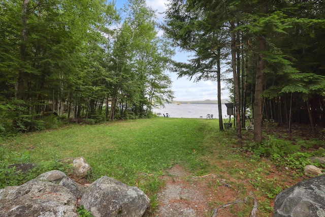 92 Cottage Shore Dr, Holden, ME 04429 - view of grassy yard with a water view