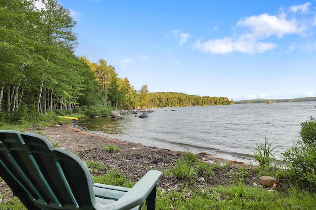 92 Cottage Shore Dr, Holden, ME 04429 - water view featuring a heavily wooded area