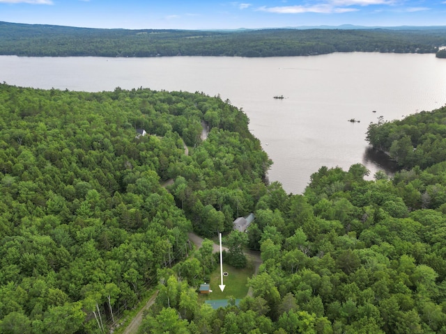 92 Cottage Shore Dr, Holden, ME 04429 - aerial view of a heavily wooded area and a large body of water