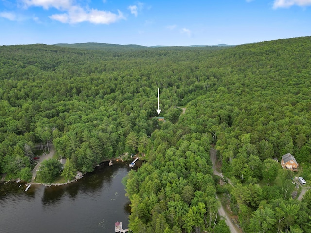 92 Cottage Shore Dr, Holden, ME 04429 - view of property location featuring a heavily wooded area and a large body of water