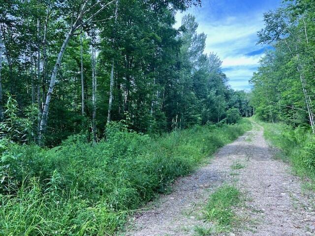 LOT14D-2 Music Rd, Farmington, ME 04938 - photo 1