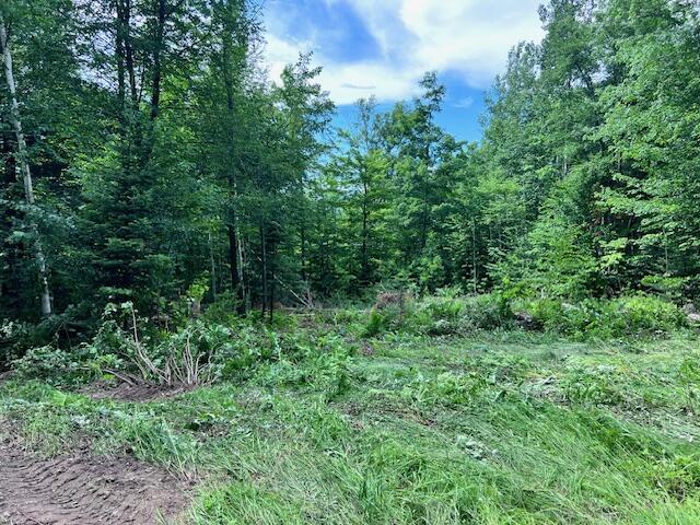 LOT14D-2 Music Rd, Farmington, ME 04938 - photo 4