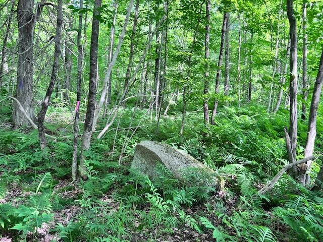 LOT14D-2 Music Rd, Farmington, ME 04938 - photo 8