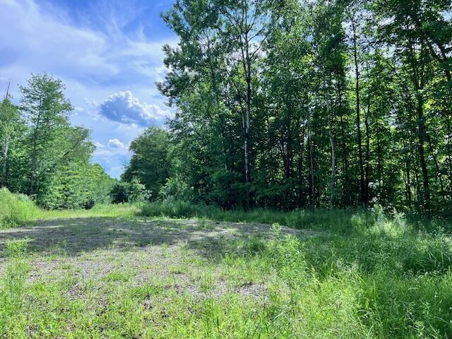 LOT14D-2 Music Rd, Farmington, ME 04938 - photo 5