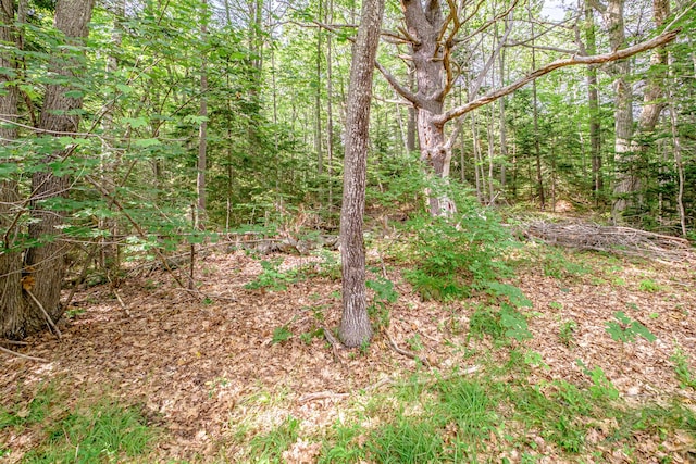 143 Berrys Mill Rd, West Bath, ME 04530 - photo 12