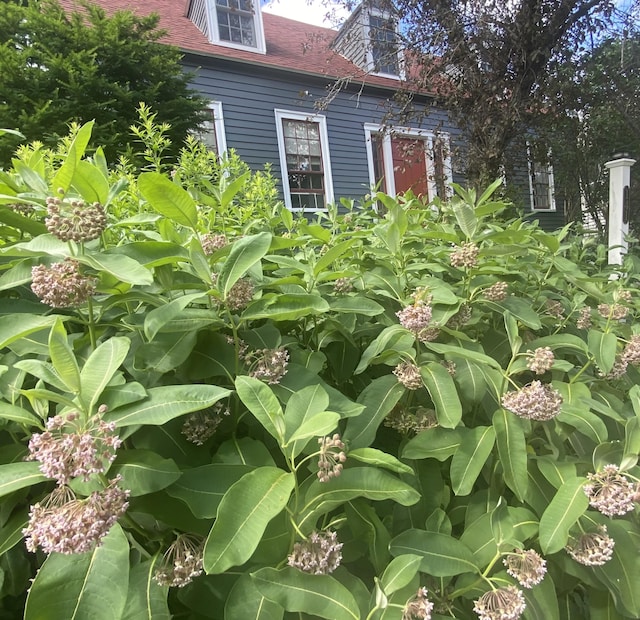 141 Centre St, Bath, ME 04530 - exterior view