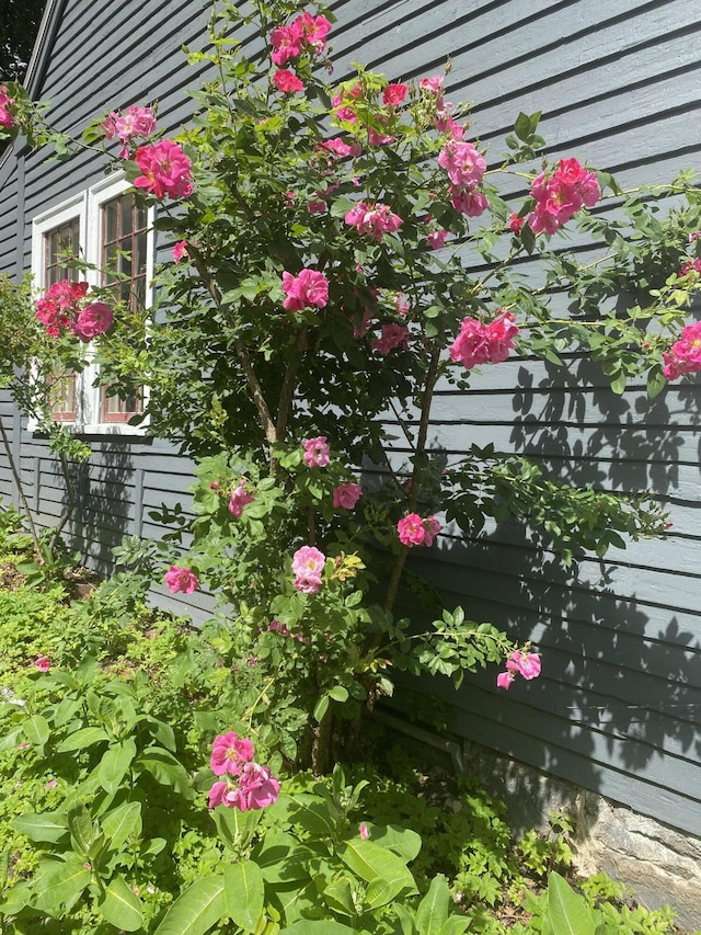141 Centre St, Bath, ME 04530 - exterior view