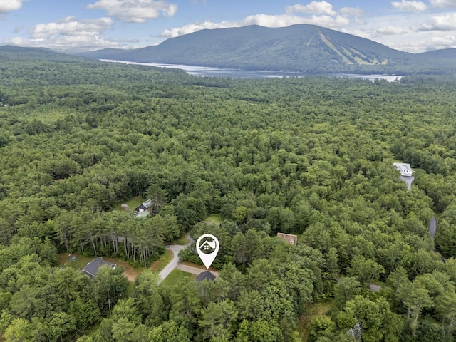 2 Jameson Dr, Bridgton, ME 04009 - photo 52