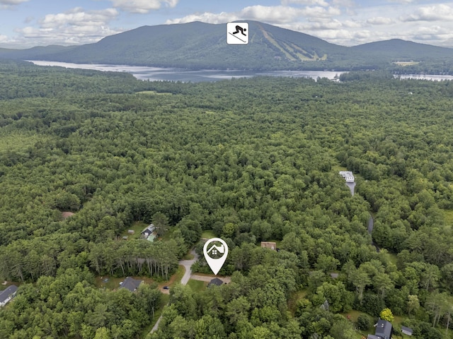 2 Jameson Dr, Bridgton, ME 04009 - photo 53