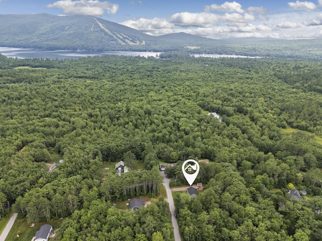 2 Jameson Dr, Bridgton, ME 04009 - photo 54