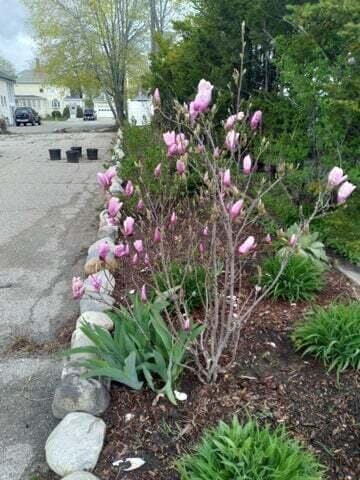 824 Main St, Sanford, ME 04073 - photo 36