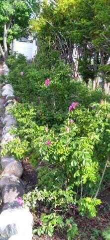 824 Main St, Sanford, ME 04073 - photo 40
