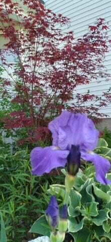 824 Main St, Sanford, ME 04073 - photo 41