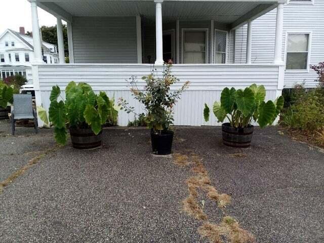 824 Main St, Sanford, ME 04073 - photo 5