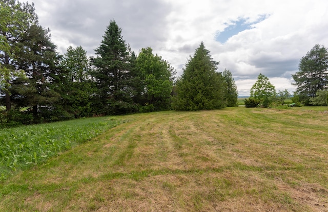 14 Talbot Rd, Madawaska, ME 04773 - photo 13
