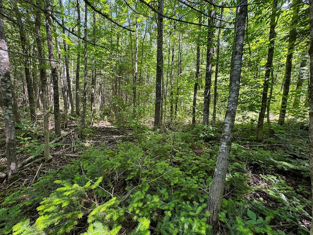 176 Front Ridge Rd, Houlton, ME 04730 - photo 16