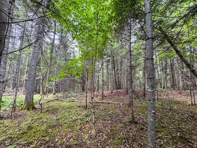 176 Front Ridge Rd, Houlton, ME 04730 - photo 21