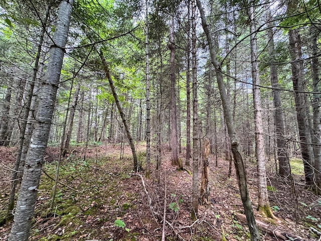 176 Front Ridge Rd, Houlton, ME 04730 - photo 22