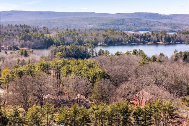 109 Sahagian Rd, Belgrade, ME 04917 - photo 84