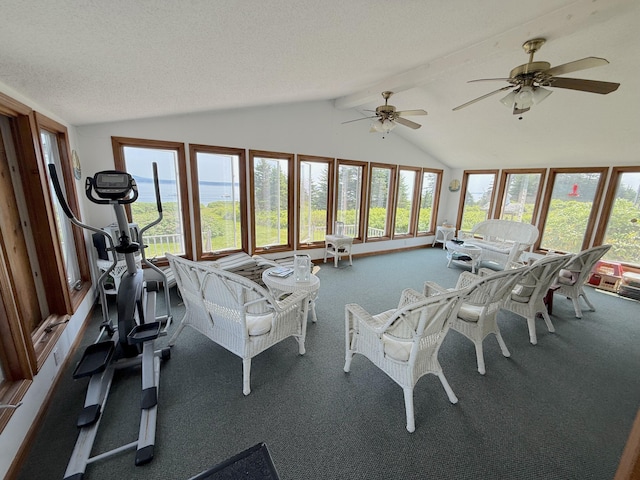 8 Bar Is, Tremont, ME 04674 - sunroom / solarium with carpet floors and plenty of natural light