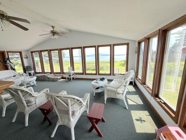 8 Bar Is, Tremont, ME 04674 - sunroom featuring carpet flooring, plenty of natural light, and a textured ceiling
