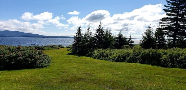 8 Bar Is, Tremont, ME 04674 - view of grassy yard with a water view