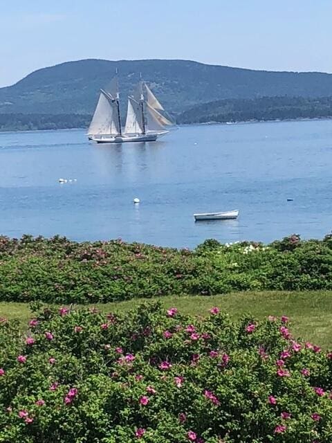 8 Bar Is, Tremont, ME 04674 - water view with a mountainous background