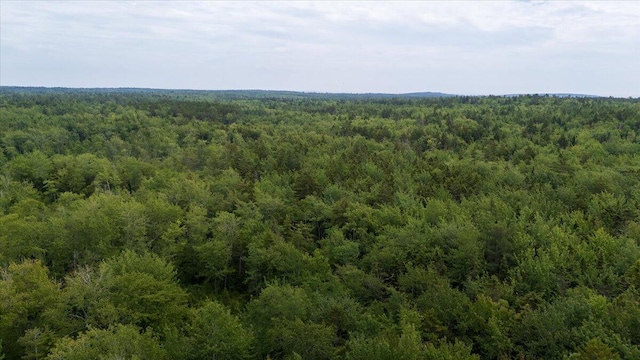 M214L23C1 Autumn Marsh Rd, Saint George, ME 04860 - photo 15