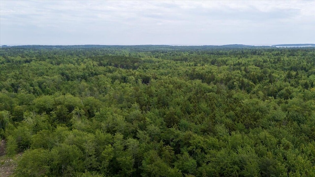 M214L23C1 Autumn Marsh Rd, Saint George, ME 04860 - photo 17