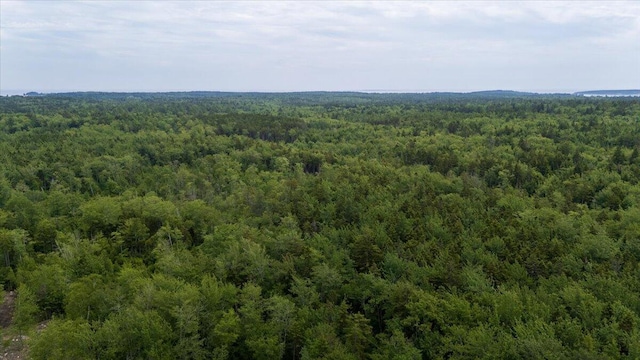 M214L23C1 Autumn Marsh Rd, Saint George, ME 04860 - photo 18