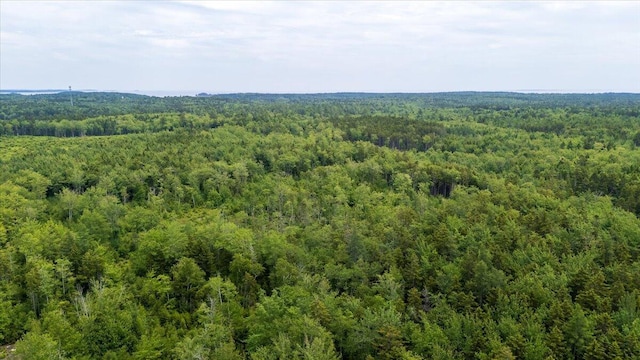 M214L23C1 Autumn Marsh Rd, Saint George, ME 04860 - photo 20