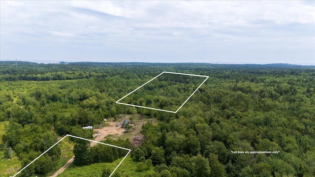 M214L23C1 Autumn Marsh Rd, Saint George, ME 04860 - photo 2