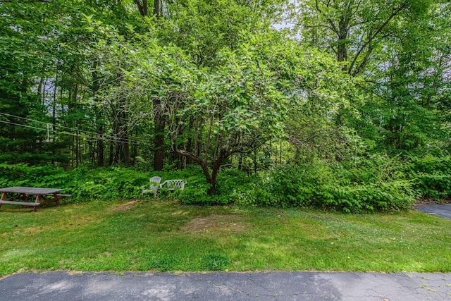 143 Broadturn Rd, Scarborough, ME 04074 - photo 15