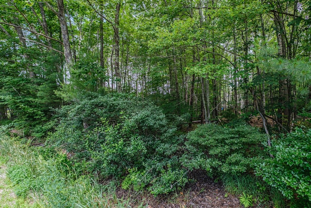 143 Broadturn Rd, Scarborough, ME 04074 - photo 70