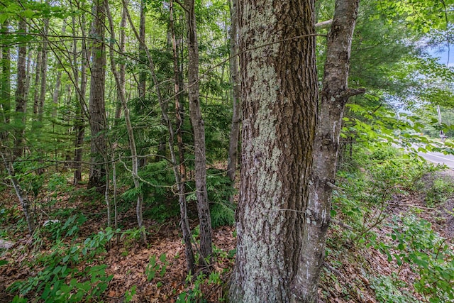 143 Broadturn Rd, Scarborough, ME 04074 - photo 73