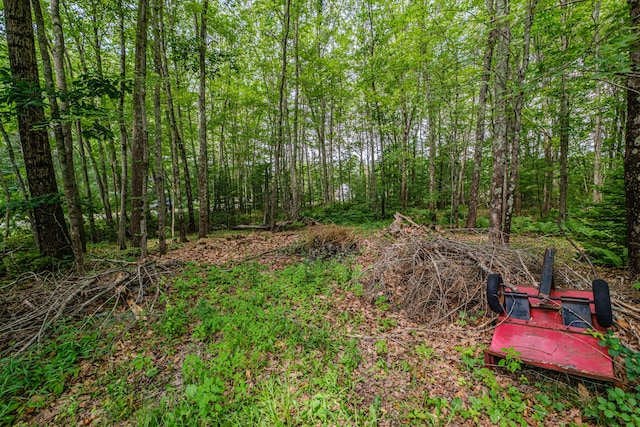 143 Broadturn Rd, Scarborough, ME 04074 - photo 77