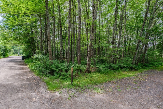 143 Broadturn Rd, Scarborough, ME 04074 - photo 79