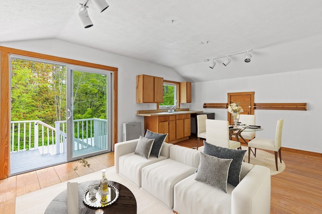 13 Wildbrook Dr, Biddeford, ME 04005 - living area featuring vaulted ceiling, track lighting, light wood-style floors, and a textured ceiling